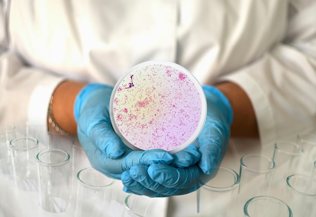 691f39e991c208a0ca1cbdf4 Adobestock 418146938