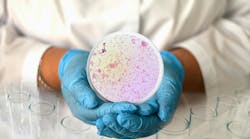 adobestock_418146938 adobestock_418146938