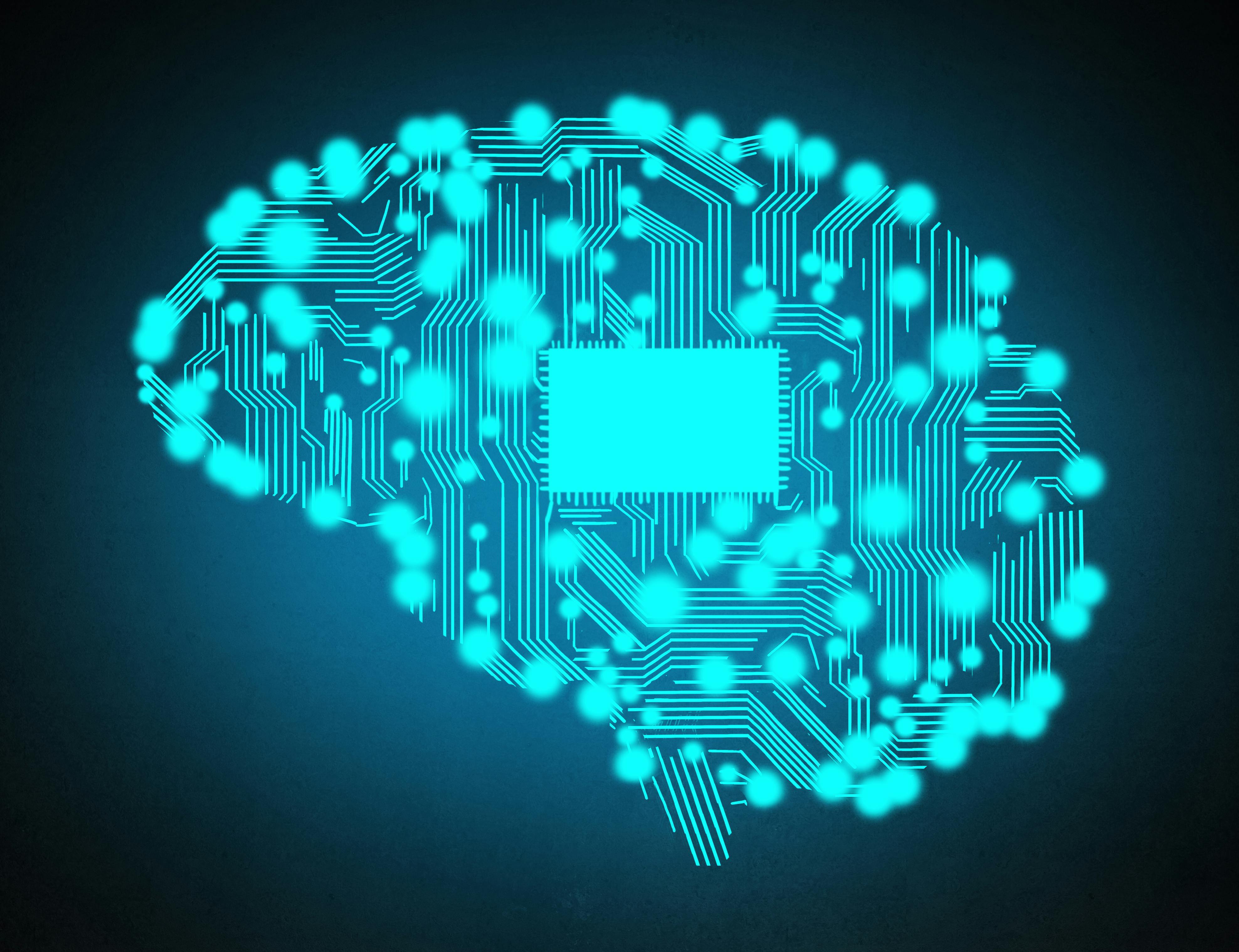 dreamstime_xxl_74230788