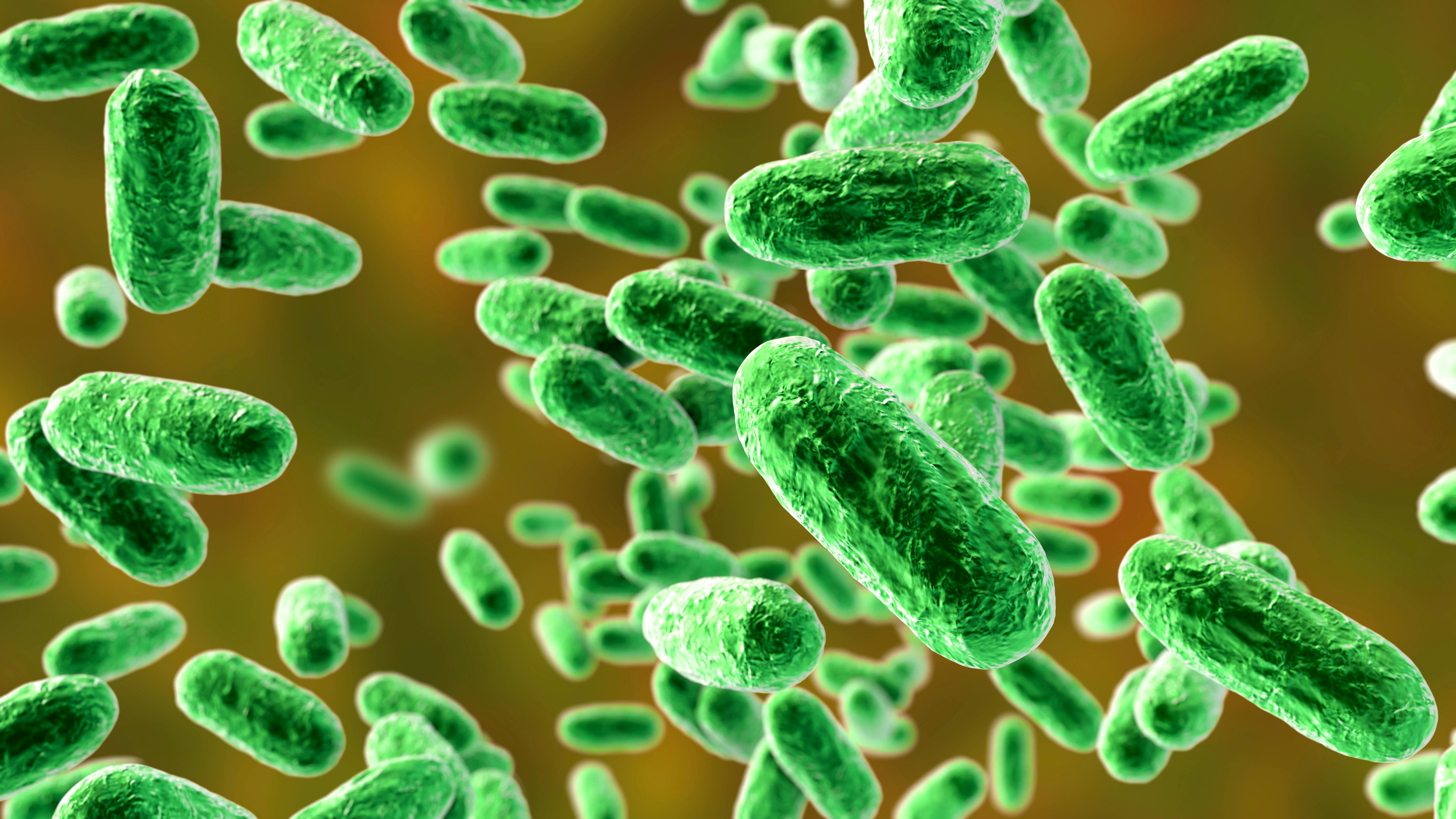 adobestock_309959542