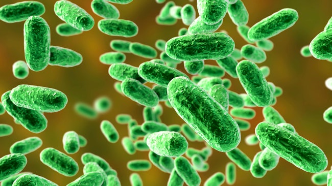 69305fb8101e28374dc7ce59 Adobestock 309959542