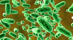 adobestock_309959542 adobestock_309959542