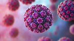 adobestock_1517819406 adobestock_1517819406