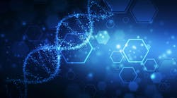 dreamstime_xxl_175293038 dreamstime_xxl_175293038