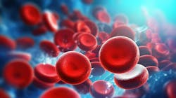 6945c81f3a0d0ebcd35fec3a Adobestock 1402770672 6945c81f3a0d0ebcd35fec3a Adobestock 1402770672