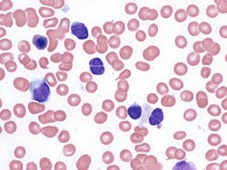 694aa9a342810da700bbbab6 Dreamstime Xxl 283644066 694aa9a342810da700bbbab6 Dreamstime Xxl 283644066