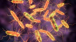 adobestock_193431439 adobestock_193431439