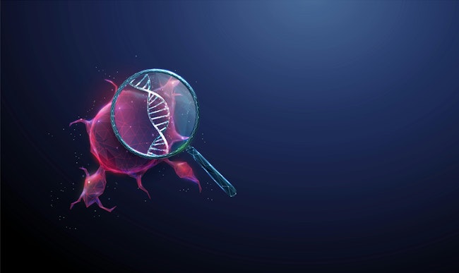 695fcb9b61bb50a70d855f08 Adobestock 1744055346