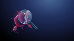 adobestock_1744055346 adobestock_1744055346