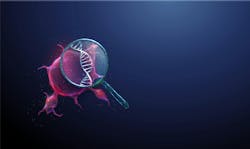 695fcb9b61bb50a70d855f08 Adobestock 1744055346 695fcb9b61bb50a70d855f08 Adobestock 1744055346