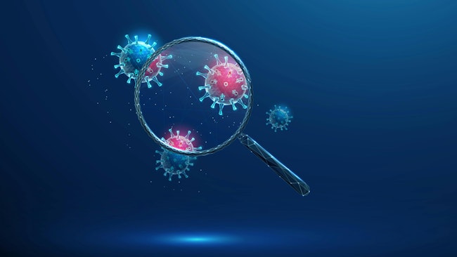 6961235e6c12015ff68b45ef Adobestock 1746651569