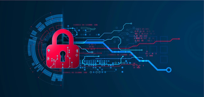 696124946c12015ff68b46ed Adobestock 428156140