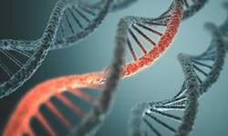 6970f4bd3f808854de02dc34 Dreamstime Xxl 38849150 6970f4bd3f808854de02dc34 Dreamstime Xxl 38849150