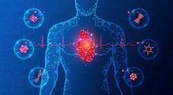 6973e5b684fd1a9730a620a2 Dreamstime Xxl 256710771 6973e5b684fd1a9730a620a2 Dreamstime Xxl 256710771