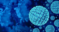 dreamstime_xxl_317200277 dreamstime_xxl_317200277