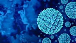 6978dd2704fd8e0c0933daa8 Dreamstime Xxl 317200277 6978dd2704fd8e0c0933daa8 Dreamstime Xxl 317200277