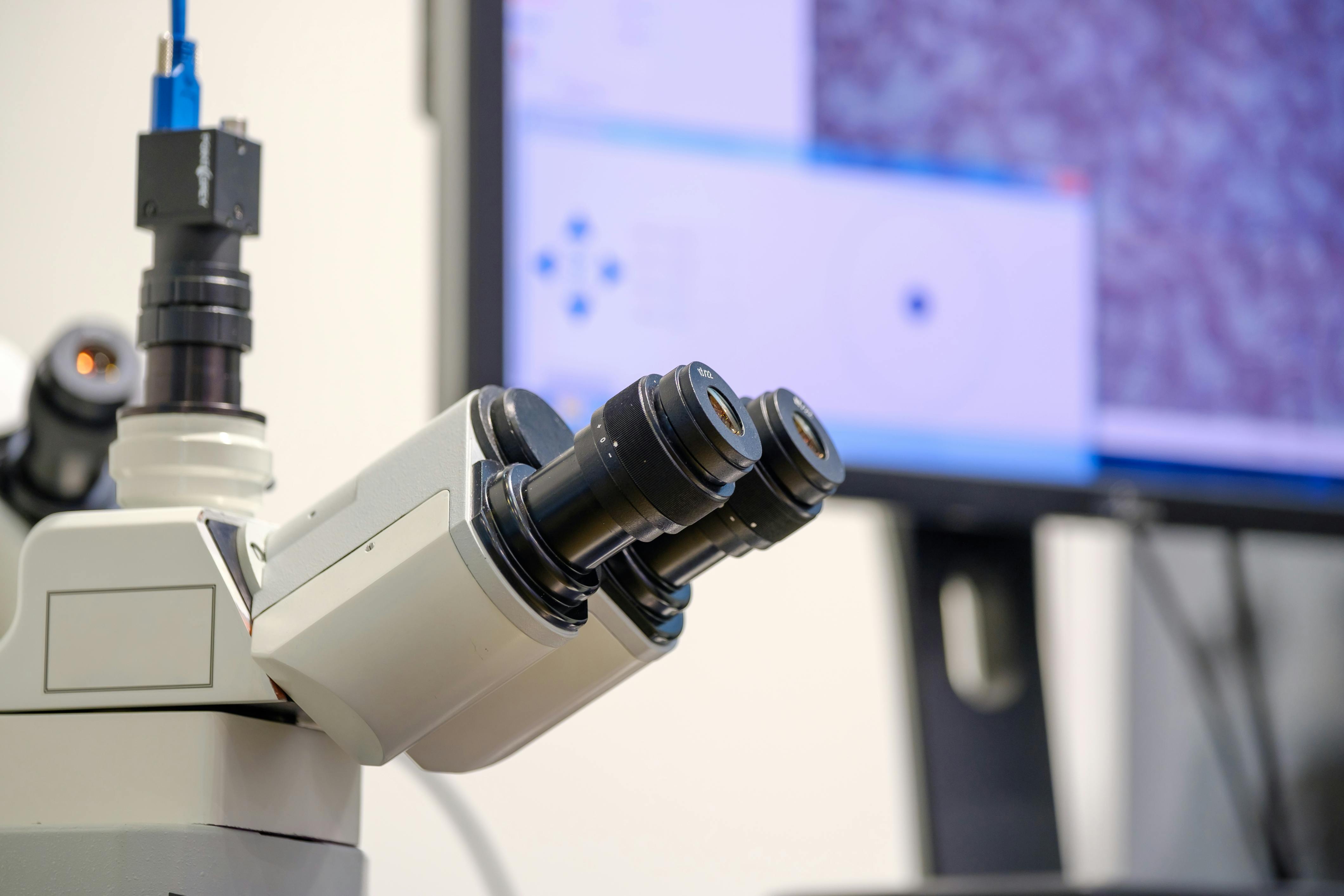 dreamstime_xxl_107086721