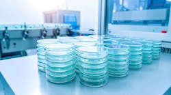 adobestock_1671577323 adobestock_1671577323