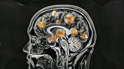 adobestock_802992055 adobestock_802992055