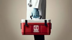 adobestock_772971868 adobestock_772971868