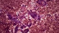 dreamstime_xxl_245741946 dreamstime_xxl_245741946