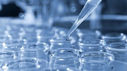 dreamstime_xxl_10474132 dreamstime_xxl_10474132