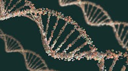 dreamstime_xxl_44896137 dreamstime_xxl_44896137