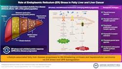 699891f73a42cdf68813fc1d Image 1 699891f73a42cdf68813fc1d Image 1