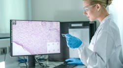 adobestock_1713838485_1 adobestock_1713838485_1