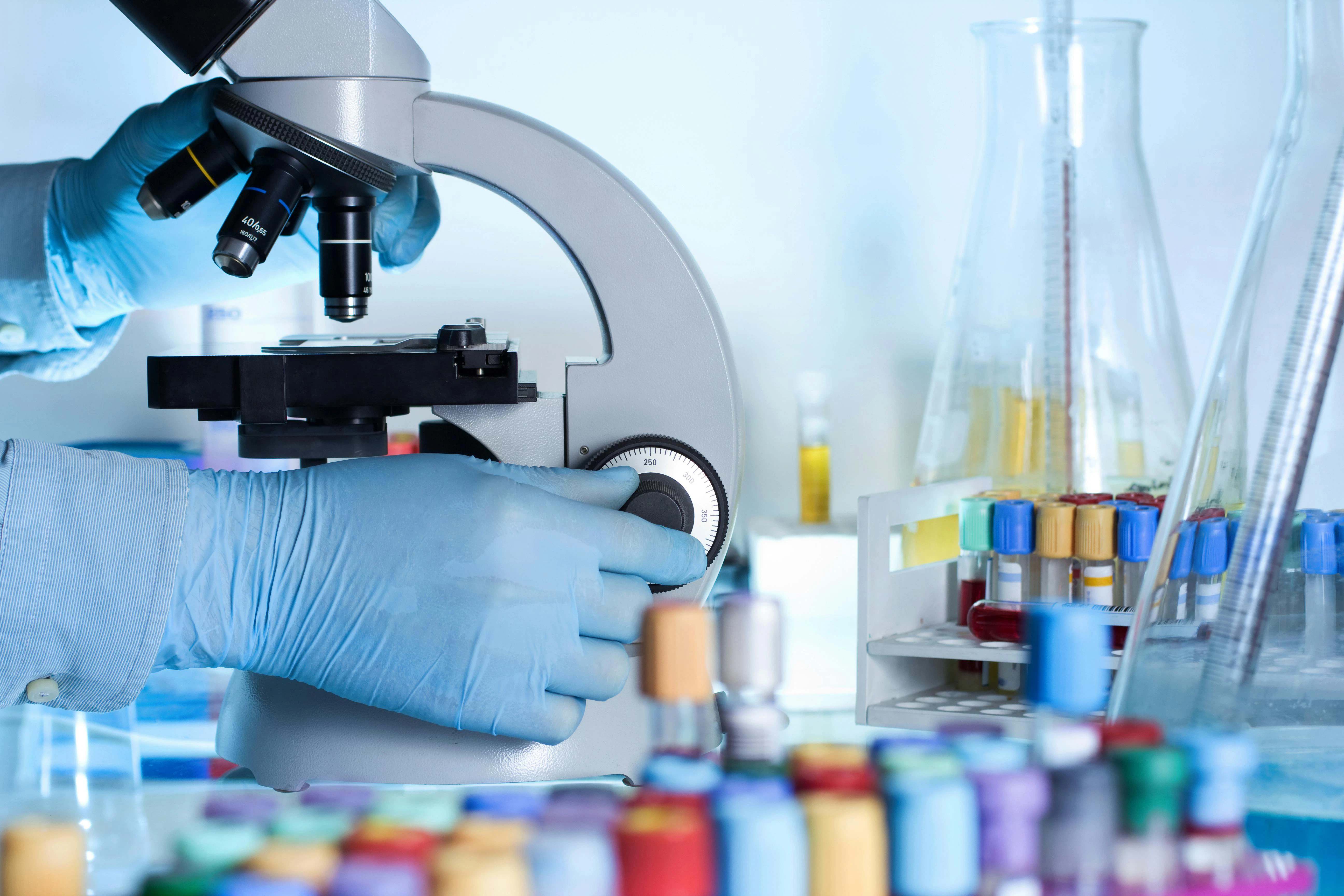 69a7378f8a799827f29d04e0 Dreamstime Xxl 52850755