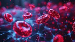 adobestock_815457819_1 adobestock_815457819_1