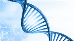 dreamstime_xxl_111155347 dreamstime_xxl_111155347