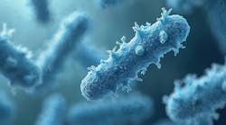 adobestock_1775199988 adobestock_1775199988