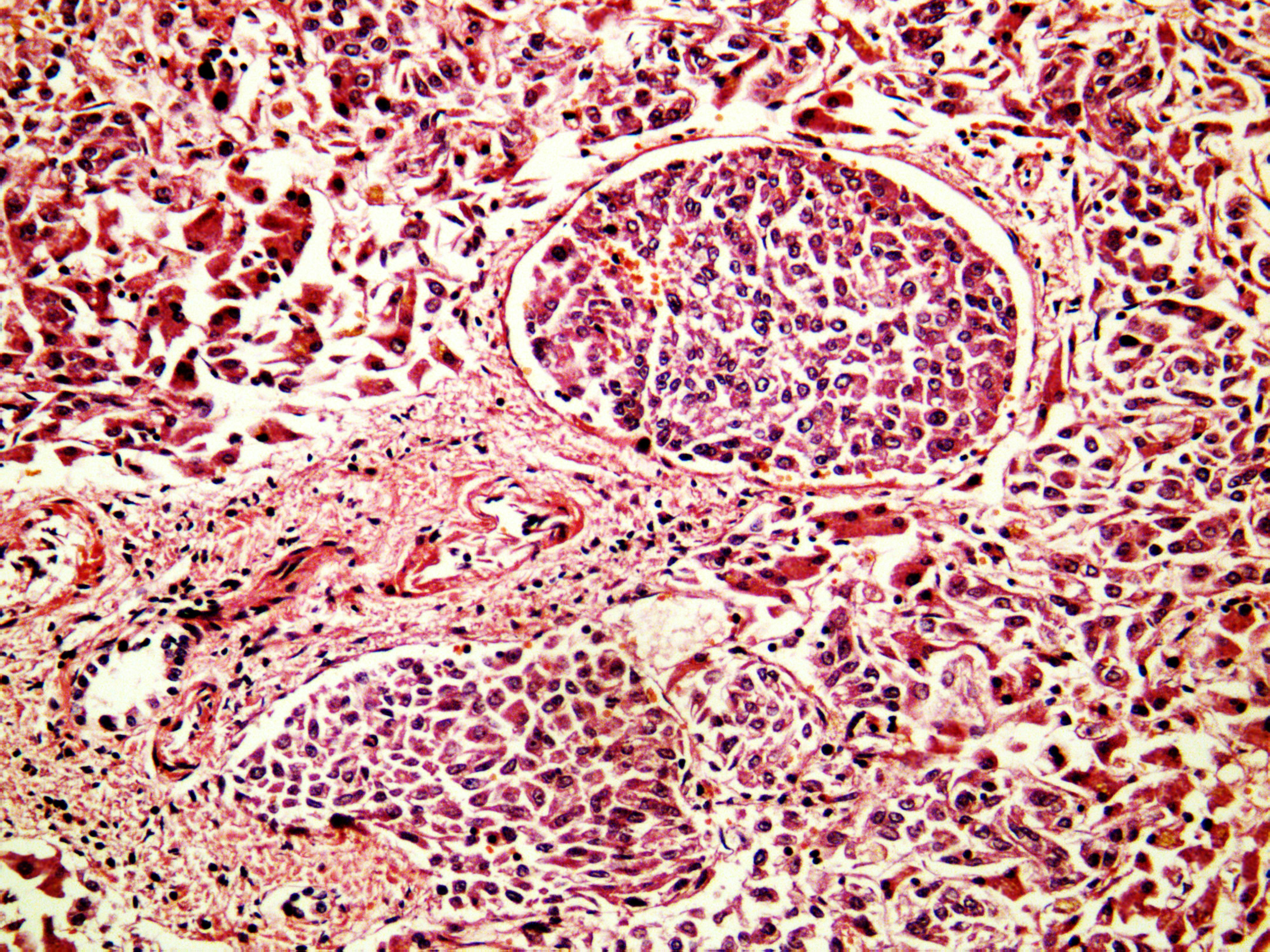 69babd520fa65a753ea16297 Dreamstime Xxl 29670818