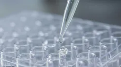 adobestock_1562707912 adobestock_1562707912