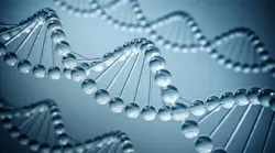 dreamstime_xxl_77325169 dreamstime_xxl_77325169