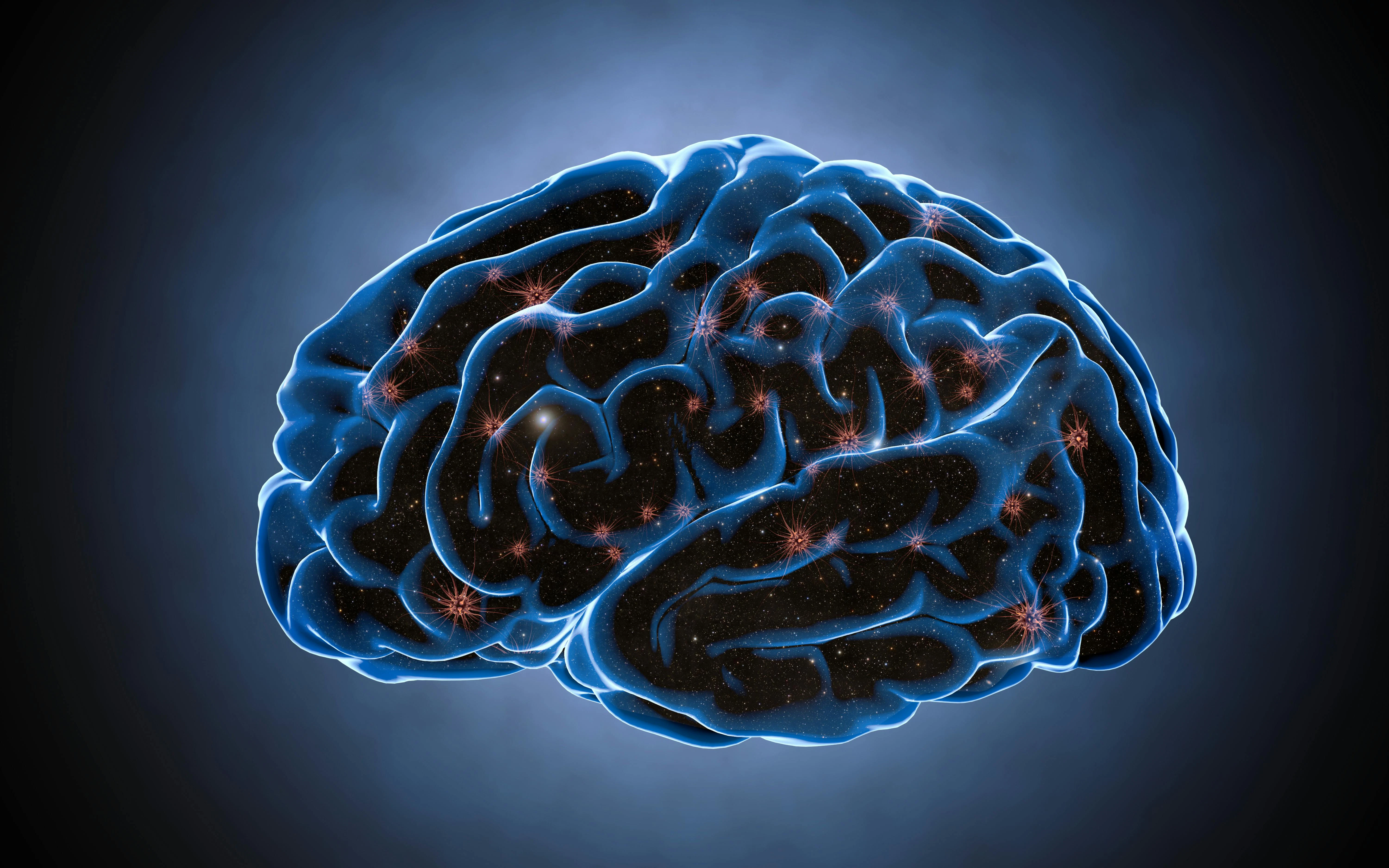 69dd001f5fc1132495f7f29f Dreamstime Xxl 66091351