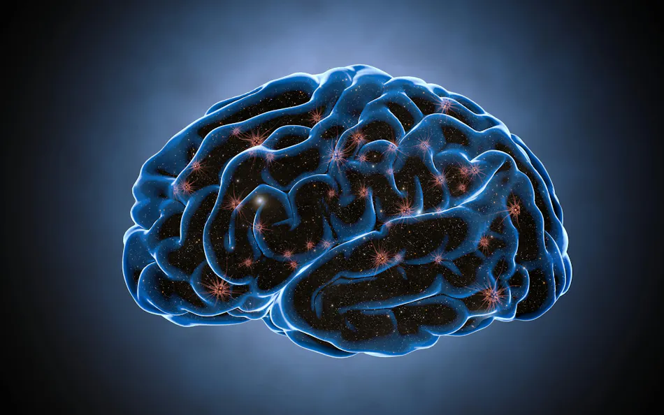 69dd001f5fc1132495f7f29f Dreamstime Xxl 66091351 69dd001f5fc1132495f7f29f Dreamstime Xxl 66091351