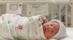 adobestock_263066450 adobestock_263066450