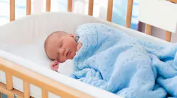 dreamstime_xxl_72155923 dreamstime_xxl_72155923