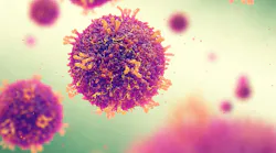 adobestock_250505232 adobestock_250505232