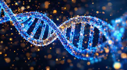 adobestock_1203898005 adobestock_1203898005