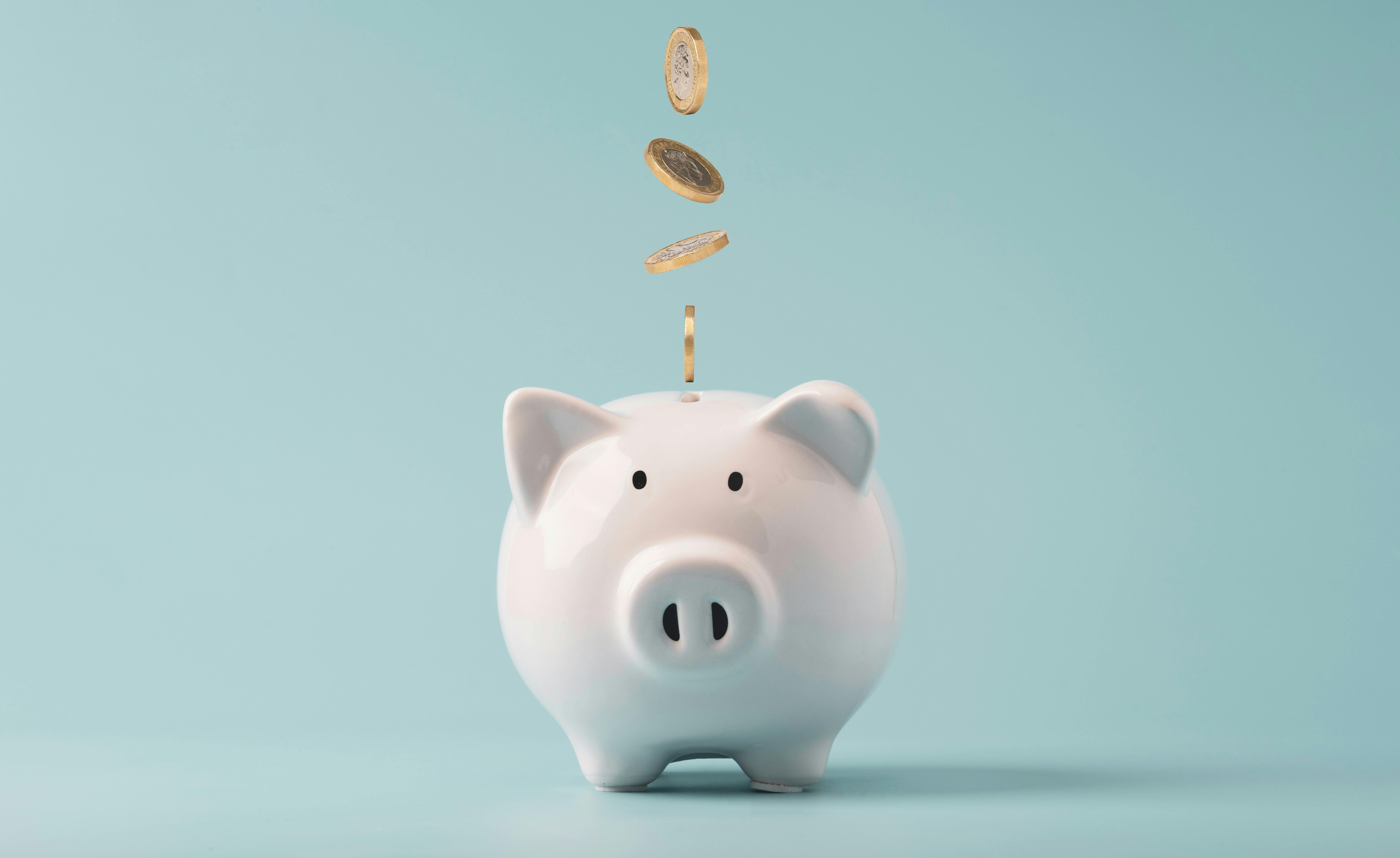 6a3bf1b87a80b3814d20359a Adobestock 432628469