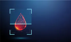 6a6a91ae5b8b6758416ebff6 Adobestock 1960684605