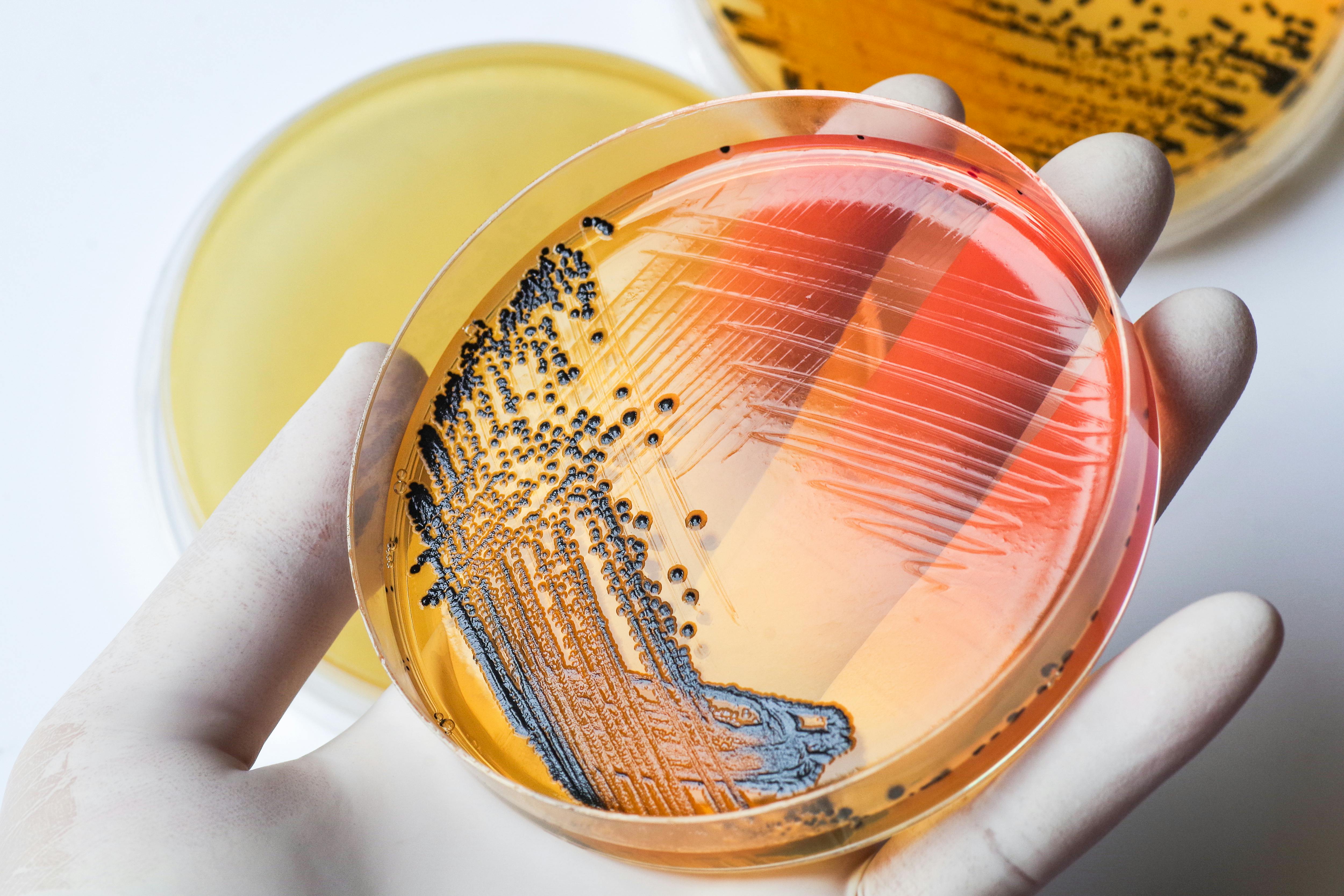 6a74aa5f09a0a60e038ba004 Adobestock 120956638