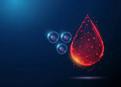 6a8dcde66e169e51047471d7 Adobestock 1632127602