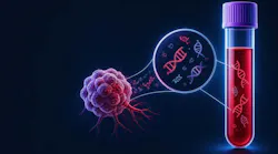 adobestock_2012154049
