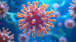 6adb762f0a4f3d84c39a2cbe Adobestock 1007093155